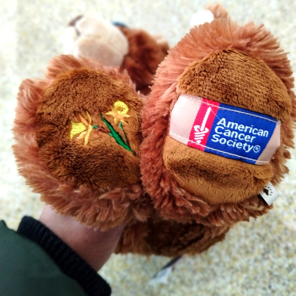βBoyds Special Edition American Cancer Society Daffodil Days Teddy Bear Plush - Picture 8 of 14
